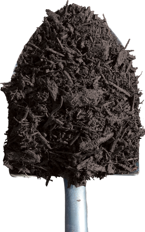 Black Mulch