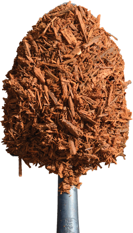 Gold Mulch