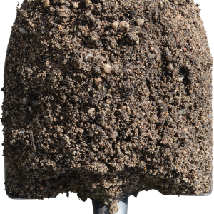 Rain Garden Blend